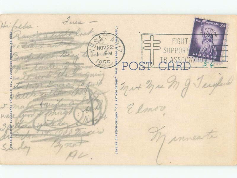 Linen SOUTHERN ARIZONA ORANGE GROVE Postmarked Mesa Arizona AZ E9259 eBay