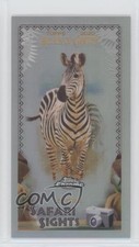 2020 Topps Allen & Ginter Chrome Safari Sights Zebra #SSC-11 2g8