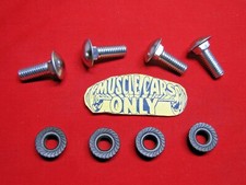 1970-1972 Chevelle Monte Carlo El Camino Stainless Cap Front Bumper Bolts 1970-1972 Chevelle Monte Carlo El Camino Stainless Cap Front Bumper Bolts