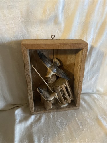 Vintage Wood Shadow Box Seagull Fisherman Gear Lobster Trap Collage Beach - Picture 2 of 8