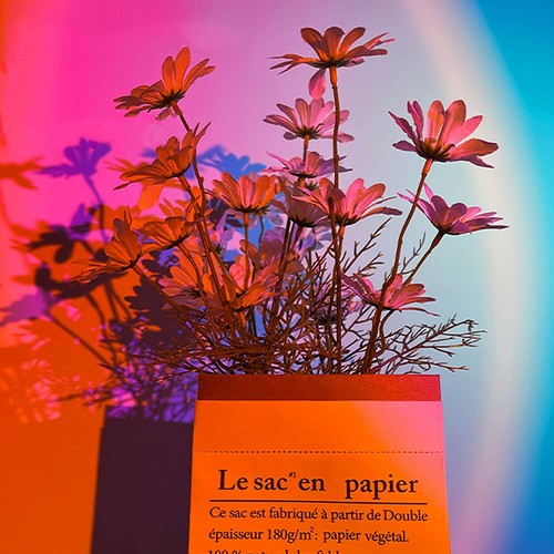 Sunset Lamp, Sunset Projection Light 180 Degree Rotation USB Sunset Glo - Picture 2 of 7