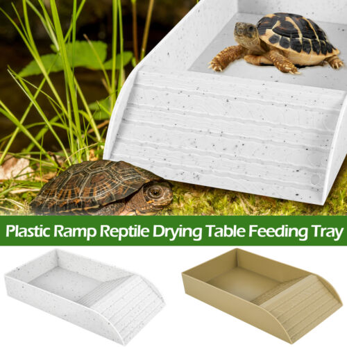 Tortoise Food Dish Reptile Water Food Bowls with Anti-Slip Ramp Reptile Water〼+