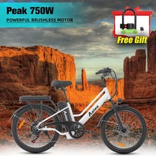 24" Electric Bike for Adult 750W 22MPH 48V 20AH 70Miles City Commuting E-bike