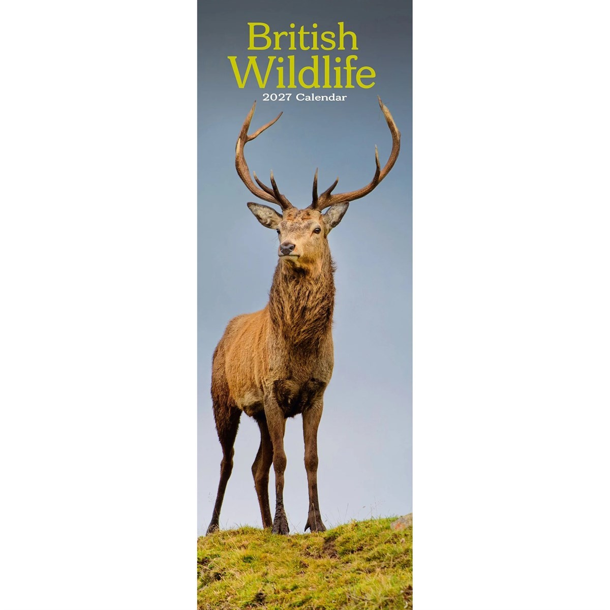 British Wildlife Slim Calendar 2027, Wall Calendars, Month To View, Gift
