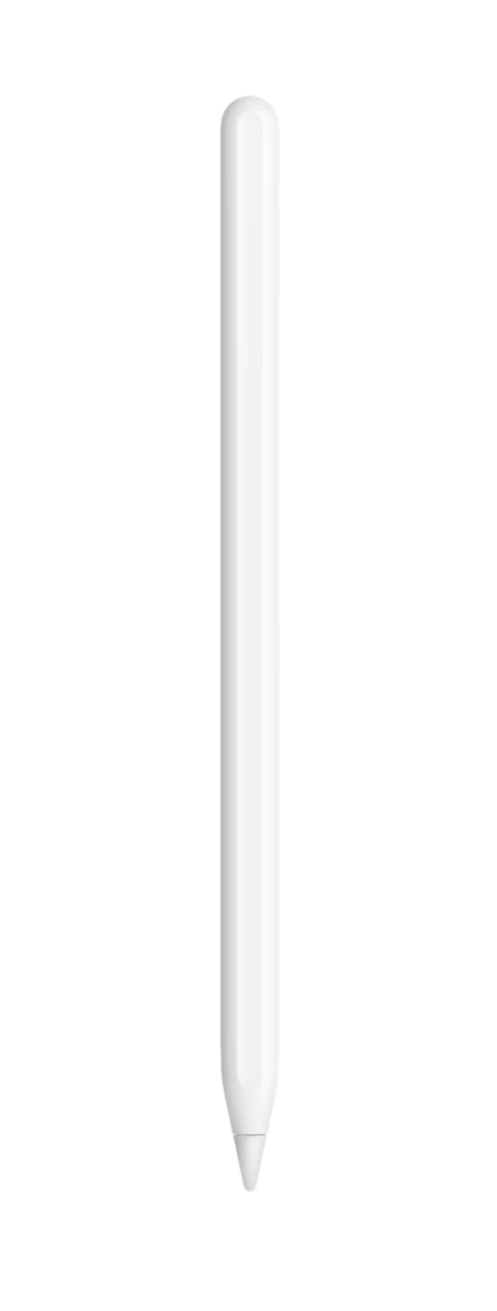 NEW Apple Pencil (USB-C) - White Stylus ‎‎‎MUWA3AM/A | eBay