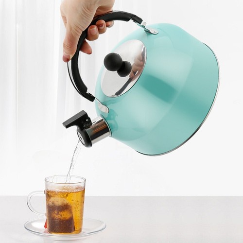 3 Liter Kettle Hot Water Bottle Stovetop Water Bottle Whistle Spout 3L