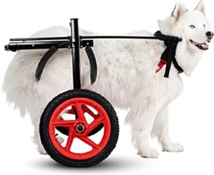 USED PRO Model Rear Support LARGE  DOG WHEELCHAIR by Best Friend Mobility