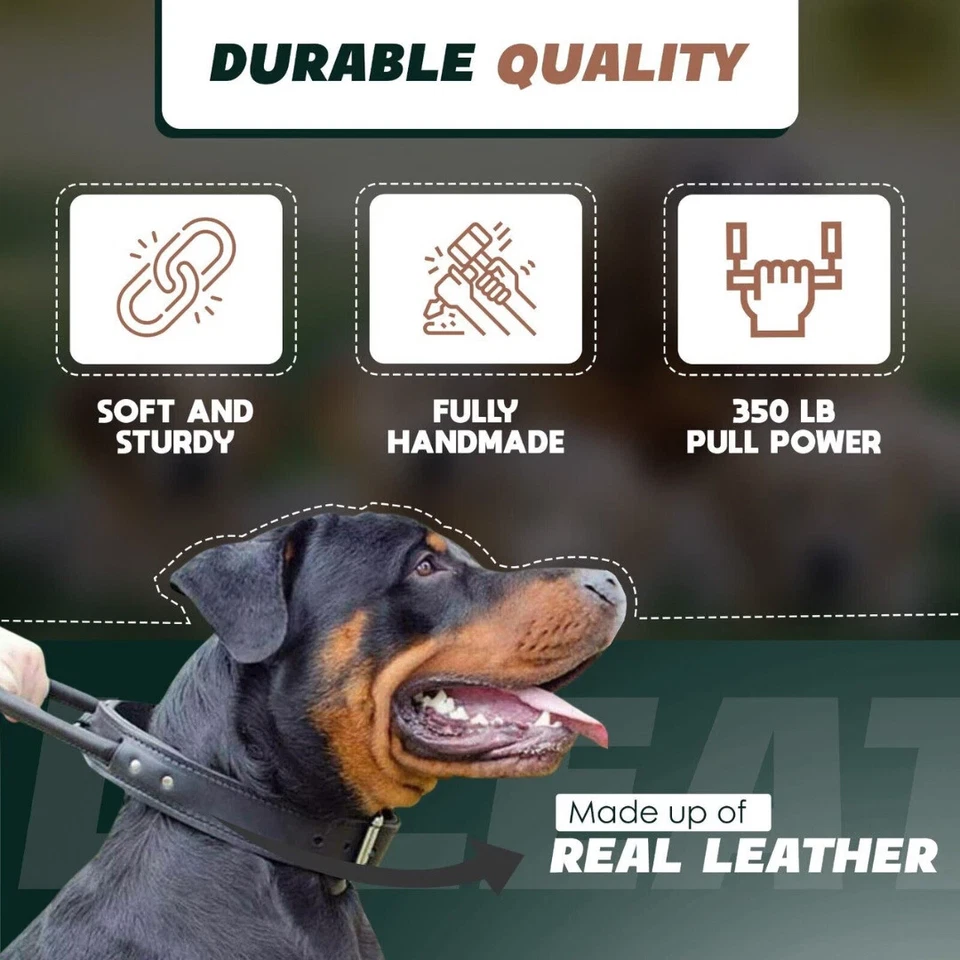 Collar de cuero genuino con mango ajustable para perro K-9 militar artesanal resistente Foto 3 de 4