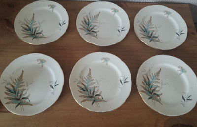 6er Set Vintage Adderley Fine Bone China Beilagenteller ;- 15,5cm Durchmesser [B2]