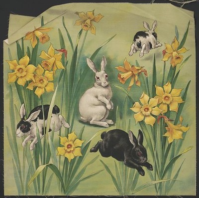 1906 Bunnies Rabbits Easter Daffodils Floral Illustration United States