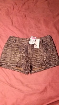 Before You Sizzling Snake Hot Pants Snake Print Gray Gold Size L