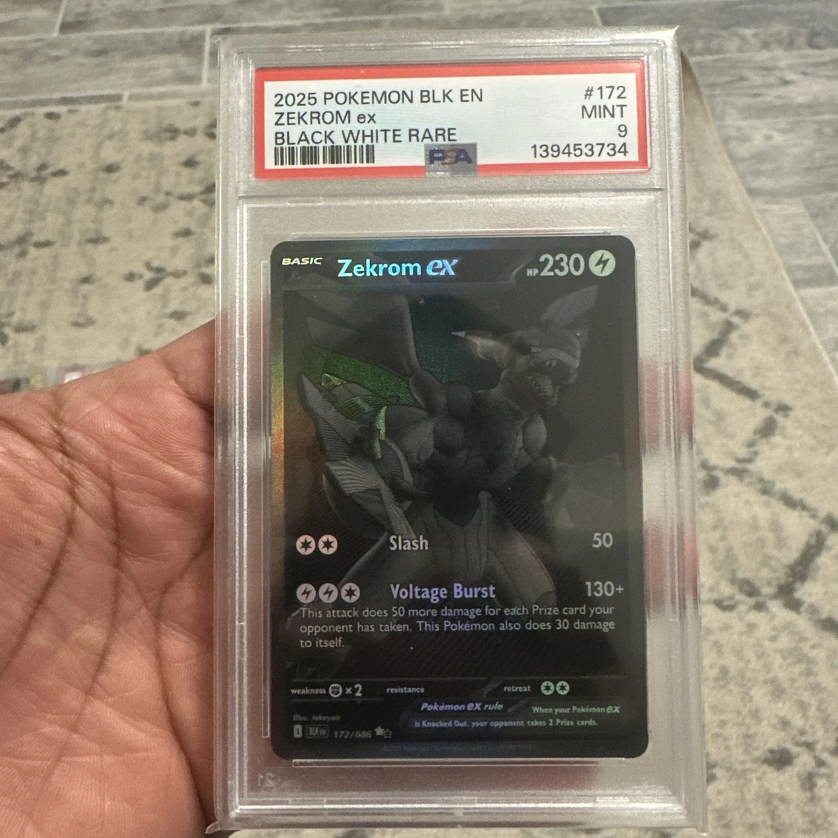 Zekrom Ex Pokémon TCG Cards for sale | eBay