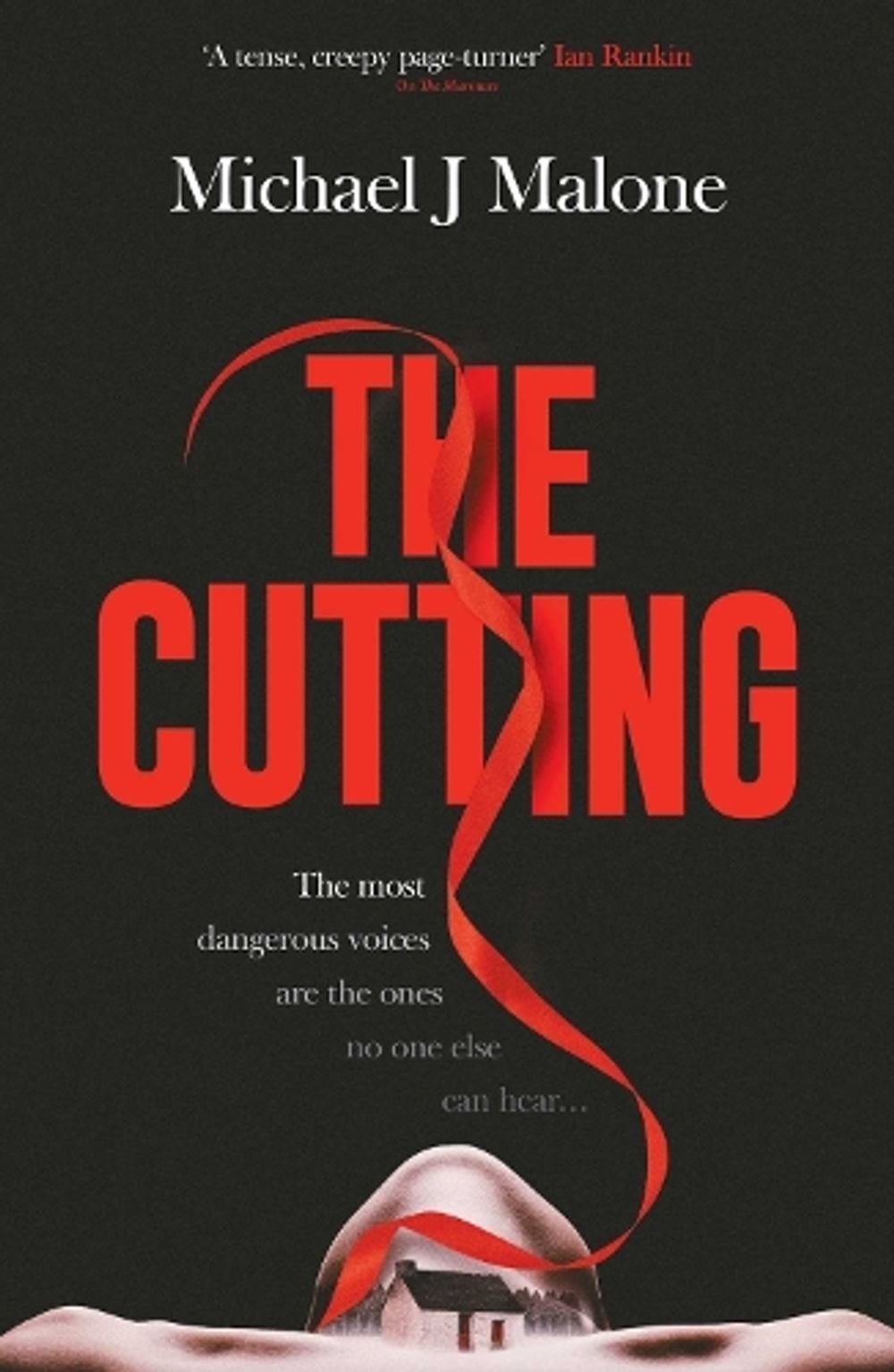 The Cutting : The Dark Spine-Tingling New Annie Jackson Mystery Volume 4 Michael J. Malone - Image 8