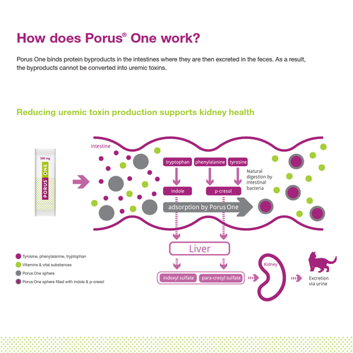 Porus One Kidney Support for Cats /w Renaltec 500mg [30 packets] [Exp