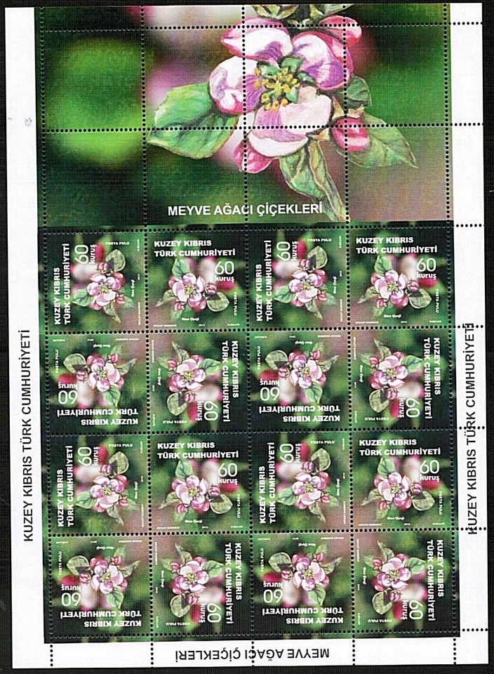 SIN MONTAR COMO NUEVO 2014 ÁRBOL FRUTAL FLORES CONJUNTO HOJAS TURCO CHIPRIOTA Foto 3 de 4