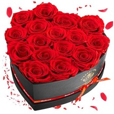 16-Piece Preserved Rose Birthday Gifts for Women, Eternal Rose 16 Rose Red