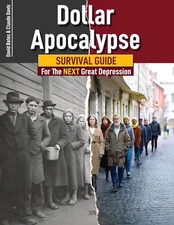 Dollar Apocalypse: Survival Guide for the Next Great Depression