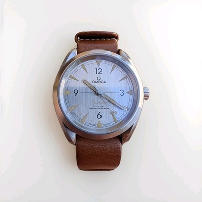 Omega Seamaster Railmaster Men's Automatic Grey Dial Watch 220.12.40.20.06.001 