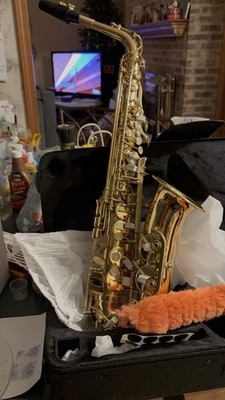 New In Box Alto Saxophone, With Case Cleaning Brush, Gloves, Reads Cover, Etc.