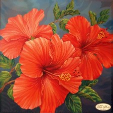 Full Bead Embroidery Kit Scarlet hibiscus DIY Bead needlepoint Tela Artis