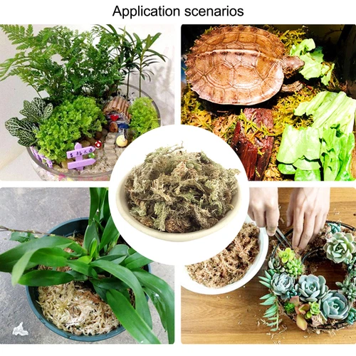 6/12L Dried Sphagnum Moss Potted Plant Organic Nutrition Fertilizer Moisturizing - Bild 6 von 17