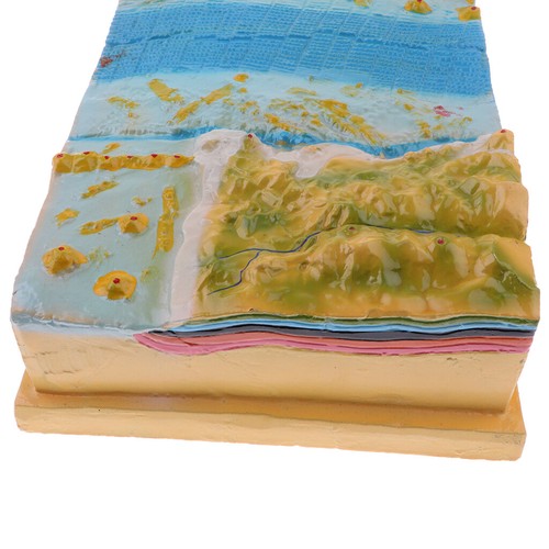 Kit de Modèle D'affichage de Croûte Terrestre de Terrain de Tectonique de - Photo 4/6