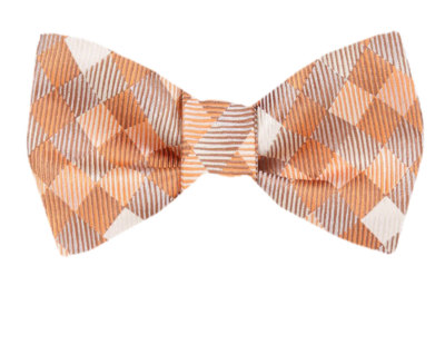Men's Big & Tall Orange Ecru Unique Pattern XL Self Tie Bowtie Weddings 