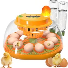Incubators for Hatching Eggs, 12 Egg Incubator with Automatic 12 eggs, Orange