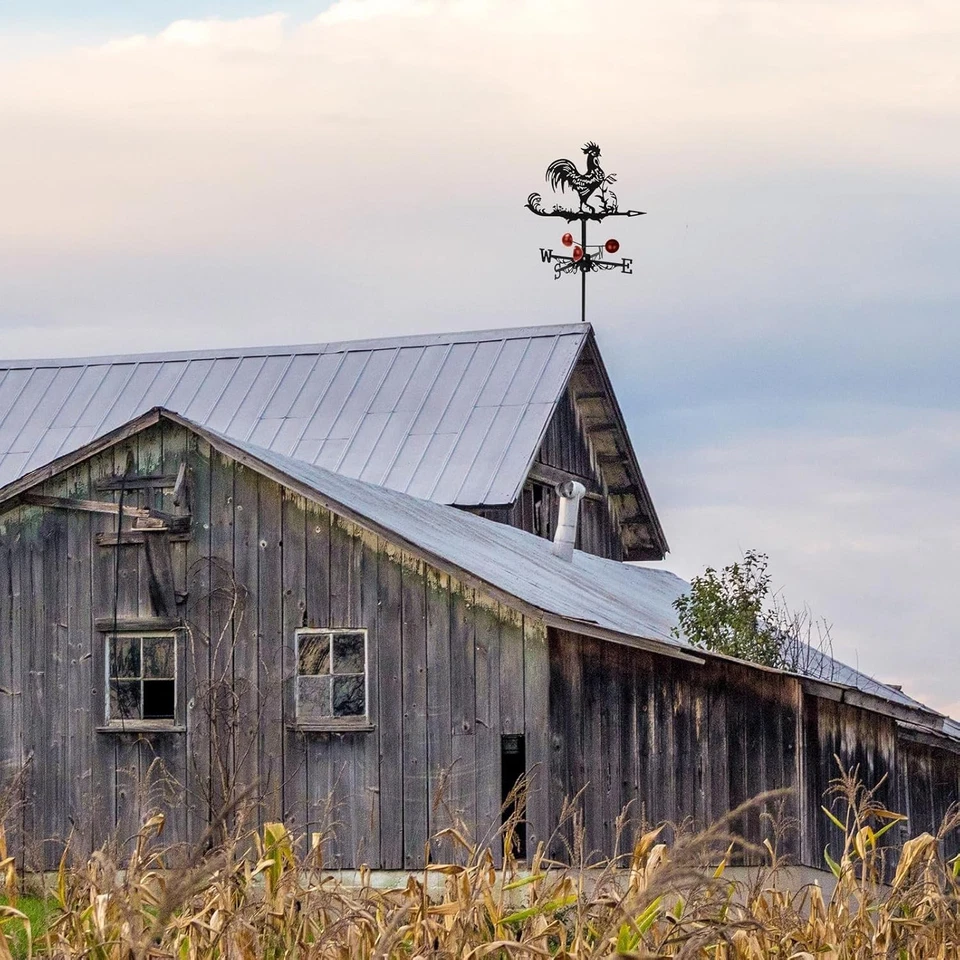 Weather Vane with Rooster Ornament,Cast Iron Wind Weather Vane for Roofs Rooster - Image 2 of 4