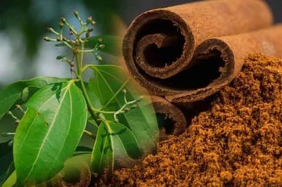 Pure ALBA GRADE Finest Quality Ceylon Cinnamon Sticks