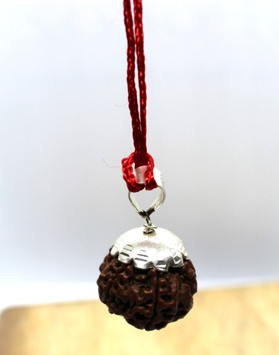 RUDRAKSHA RUDRAKSH 5 MUKHI SAMMLER QUALITÄT PERLENANHÄNGER HINDU YOGA GEBET SELTEN - Bild 6 von 8