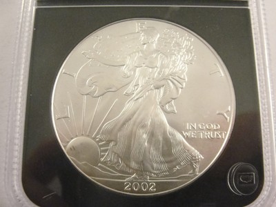2002 Original Stempelglanz American 1oz Fine Silver EAGLE. Stk.