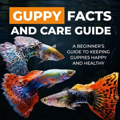 Guppy Facts and Care Guide A Beginner's Guide to Keeping Guppies