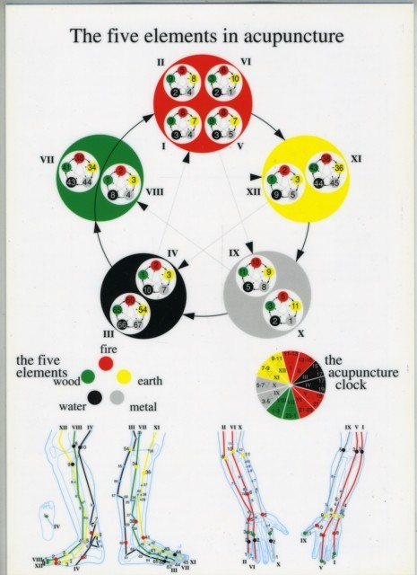 Five Elements in Acupuncture -- A4 by Jan van Baarle (Poster)