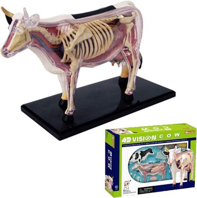 4D Vision Cow Model, Cow Skeleton Specimen, Detachable 29 Parts Cow Organs 