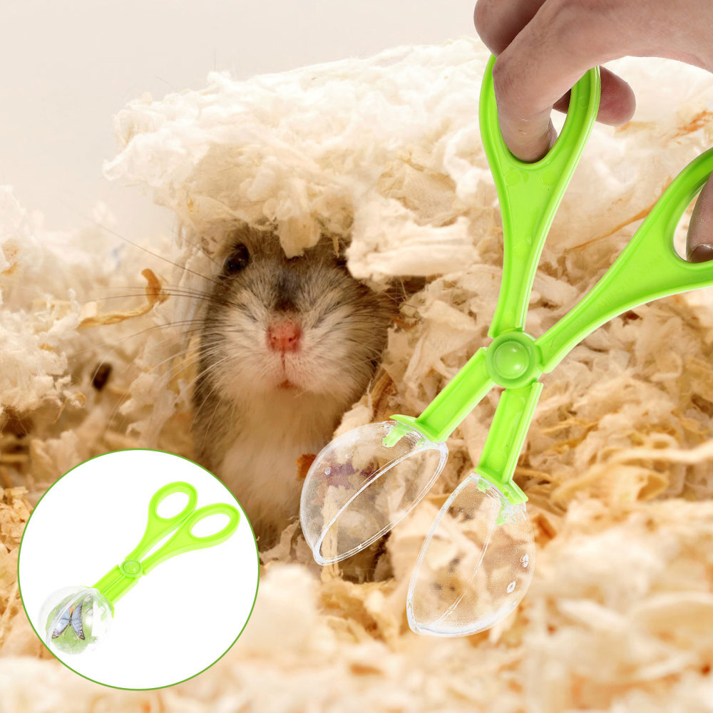 6pcs Pet Pooper Scooper & Reptile Feeding Clamp Set eBay