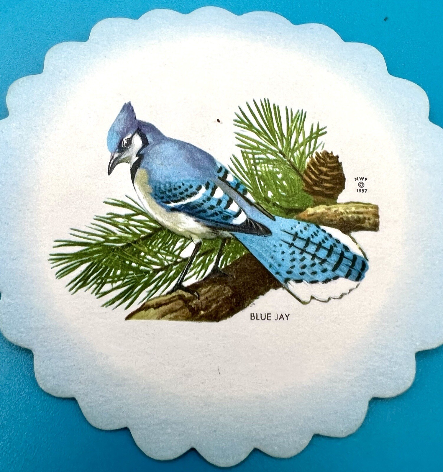 Picture 4 of 5