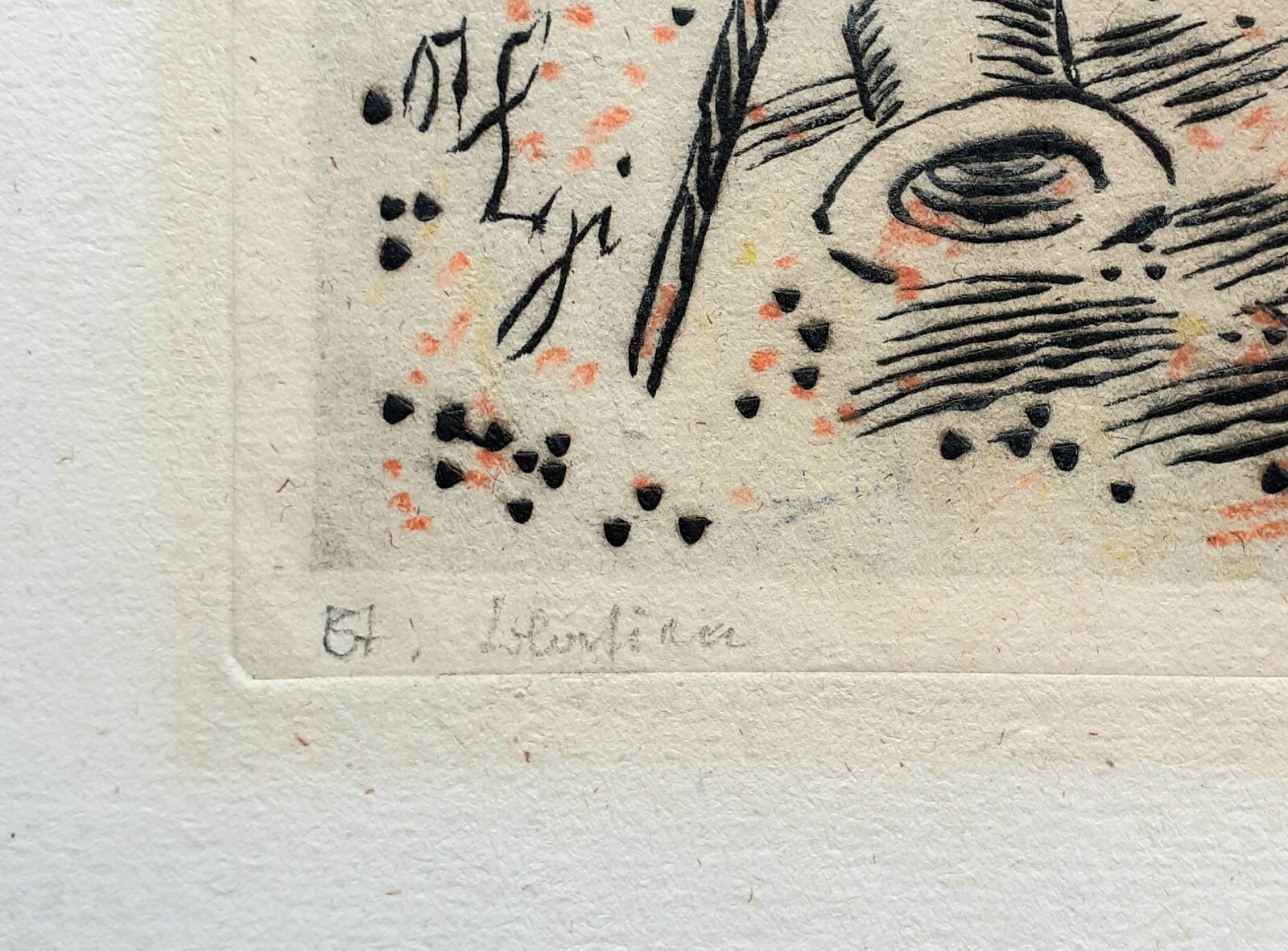 Foto 2 di 6