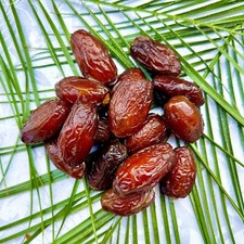 Rutob 11LB BOX-Very Soft Medjool Dates-Naturally Grown. Fresh California
