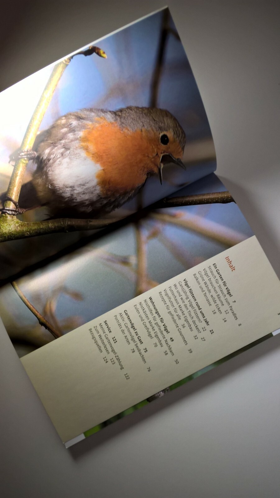 Thumbnail - Vögel Füttern Rund Ums Jahr Von Hans Egidius (taschenbuch)