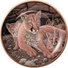 Mountain Lions Collector Plate — photo 1