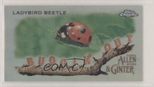 2020 Topps Allen & Ginter Chrome Mini Buggin' Out! Ladybird Beetle #MBOC-1 0ea4