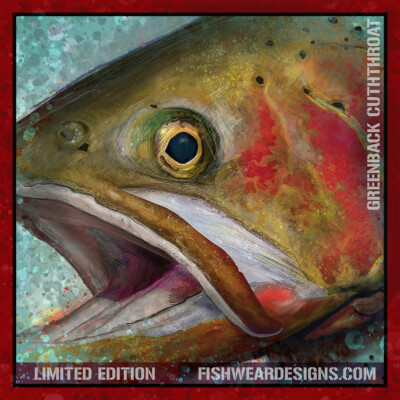 Greenback Cutthroat Limited Edition Sticker 4x4 Inches, Illustrated By FishWearD