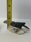 Picture 16 of 19