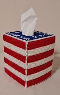 Plastic Canvas Tissue Box Cover