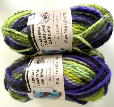2 Skein Lot Loops Threads Charisma Bulky 5 Chunky Yarn Acrylic Solid Variegated