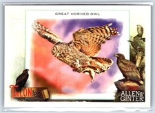 2023 TOPPS ALLEN & GINTER TALONted CARD #TT-7 Great Horned Owl