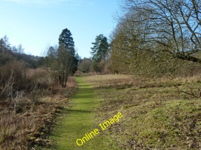 Photo 6x4 Path, the Warburg nature reserve Catslip A reserve famed for ch c2014