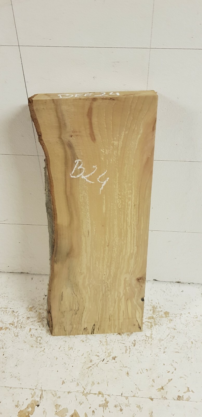 Bild 18 von 219