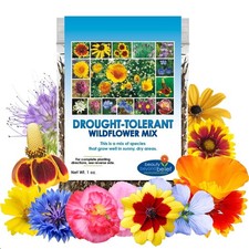 Drought Resistant Wildflower Seeds - 1oz, Open-Pollinated Bulk Flower Seed Mi... 333.44 per gallon